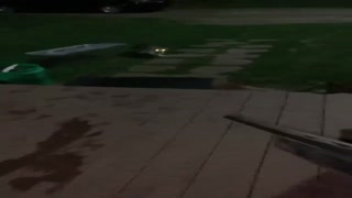 a.mp4