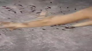 sjdj.mp4