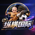 纵横国际.webp